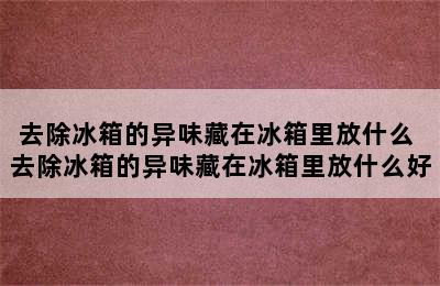 去除冰箱的异味藏在冰箱里放什么 去除冰箱的异味藏在冰箱里放什么好